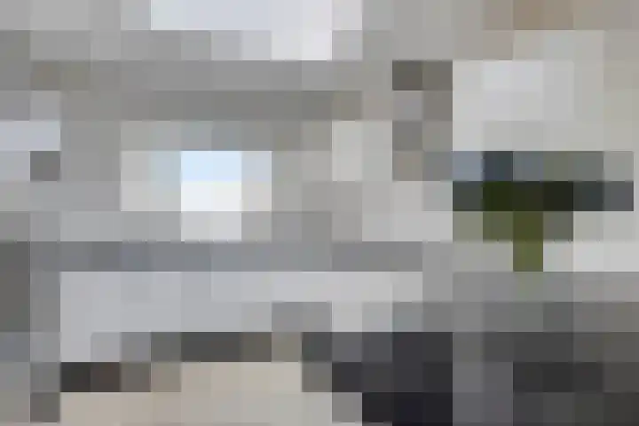 Irene Vorrinkstraat 52 Hoofddorp thumbnail 10
