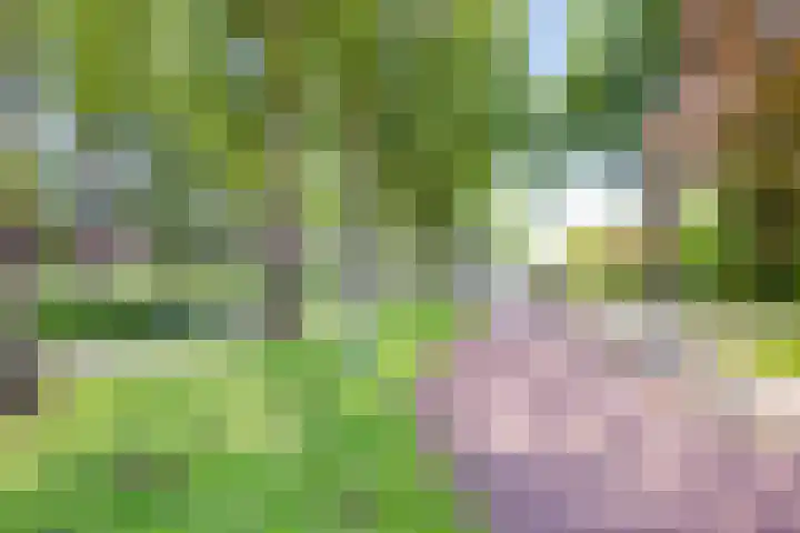 Irene Vorrinkstraat 52 Hoofddorp thumbnail 36