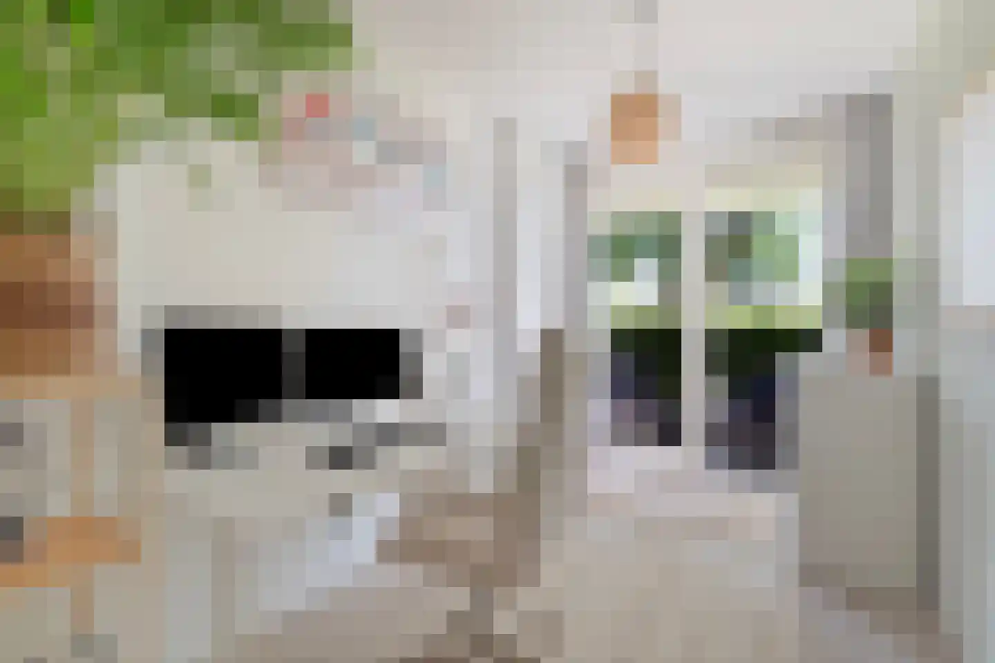 Irene Vorrinkstraat 6 Nijmegen thumbnail 20