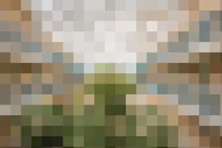 Irene Vorrinkstraat 67 Hoofddorp thumbnail 32