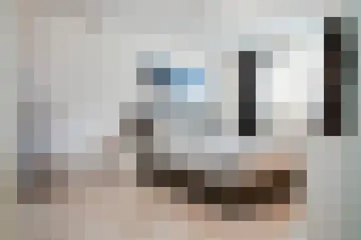 Irene Vorrinkstraat 67 Hoofddorp thumbnail 5