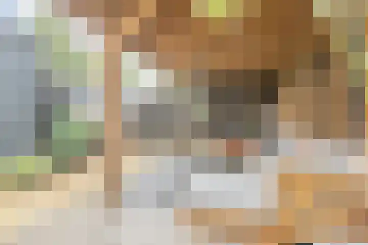 Irene Vorrinkstraat 9 Culemborg thumbnail 12