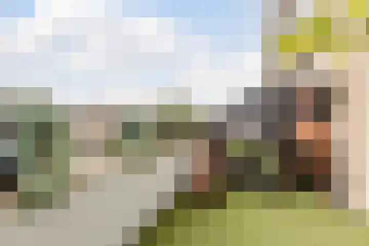 Irene Vorrinkstraat 9 Culemborg thumbnail 26