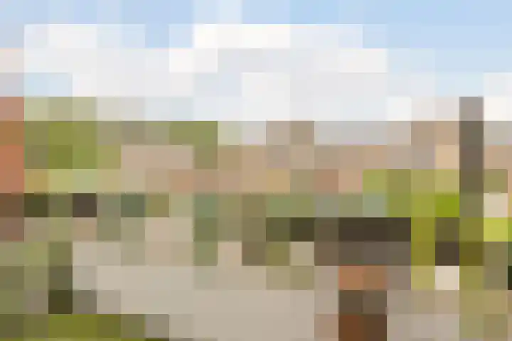 Irene Vorrinkstraat 9 Culemborg thumbnail 27