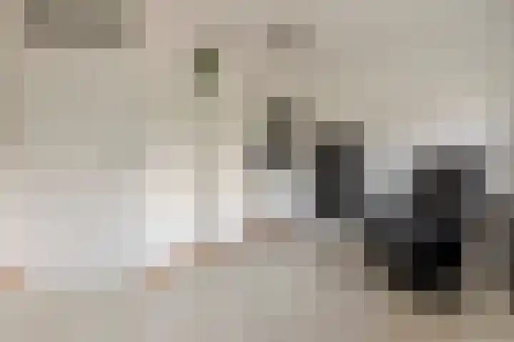 Irene Vorrinkstraat 9 Culemborg thumbnail 32