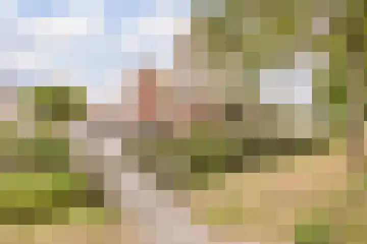 Irene Vorrinkstraat 9 Culemborg thumbnail 4