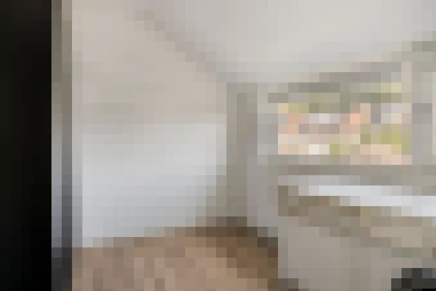 Irenehof 9 Tilburg thumbnail 11
