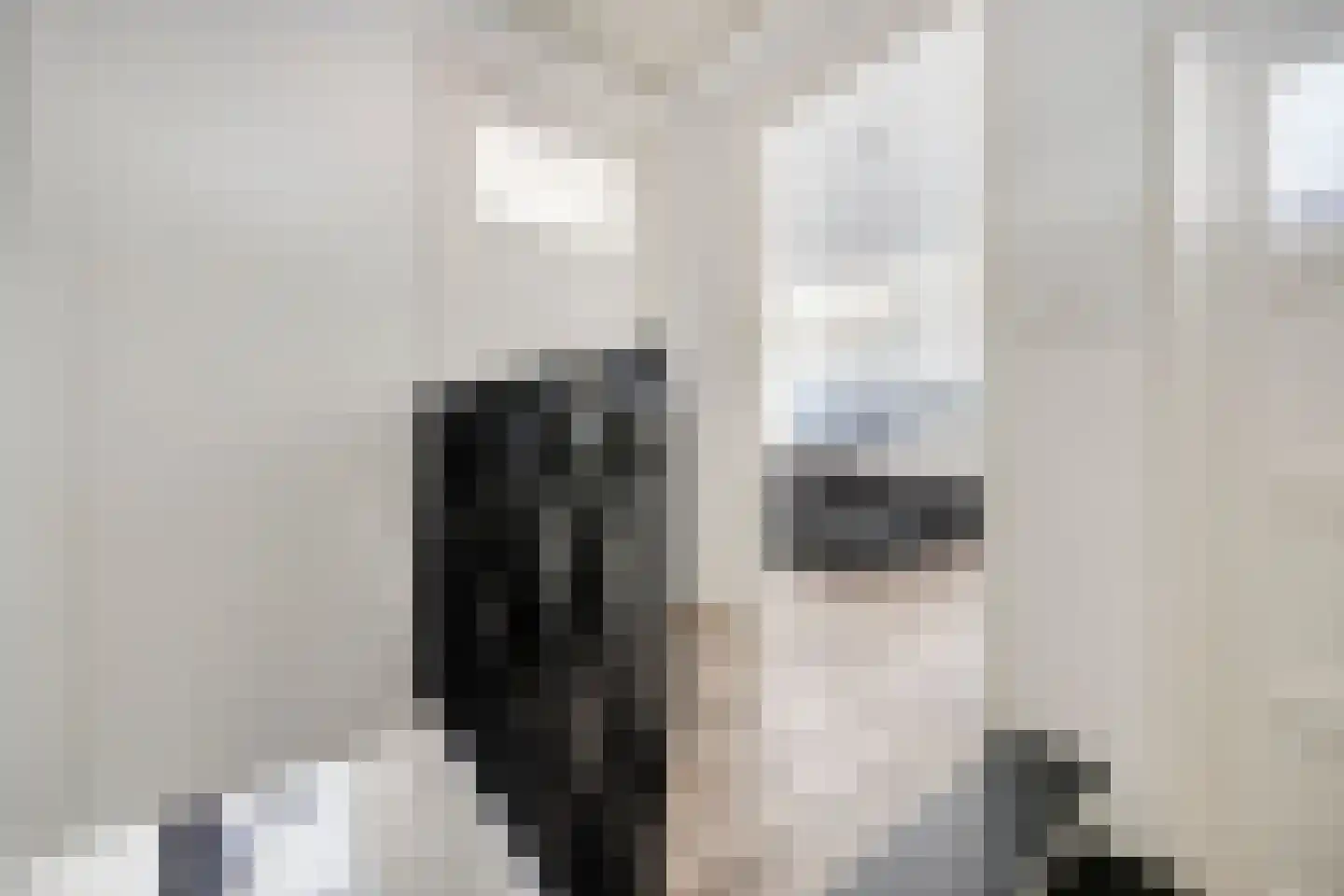 Irenehof 9 Tilburg thumbnail 7