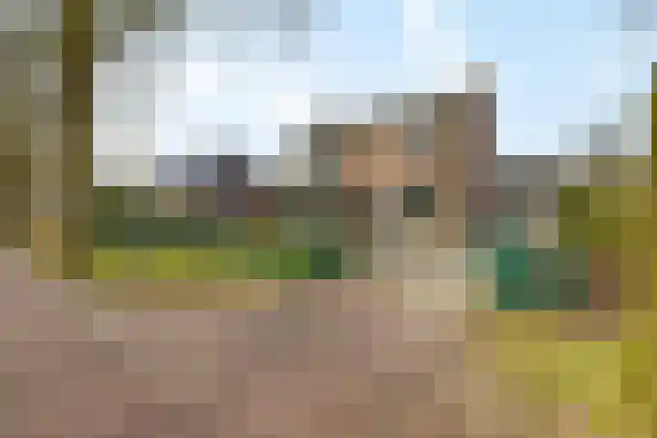 Irenelaan 1 in Oosterhesselen