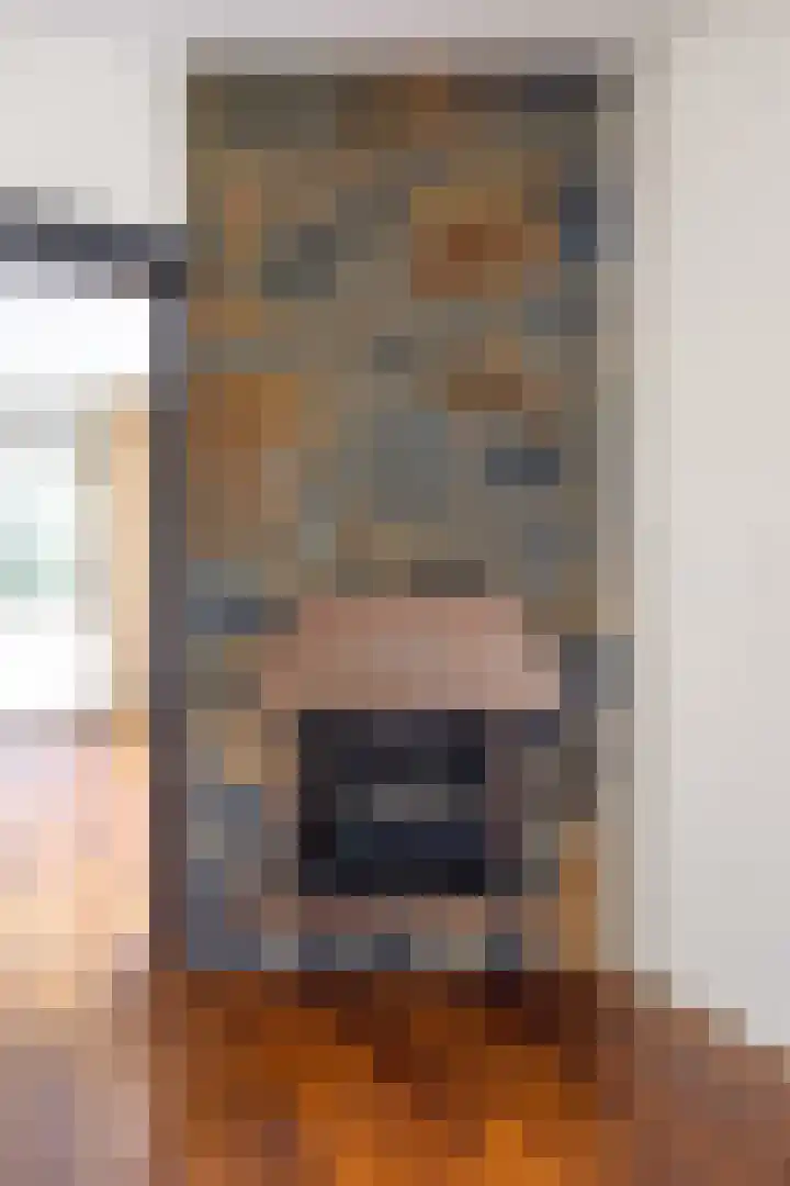 Irenelaan 1 Bedum thumbnail 18