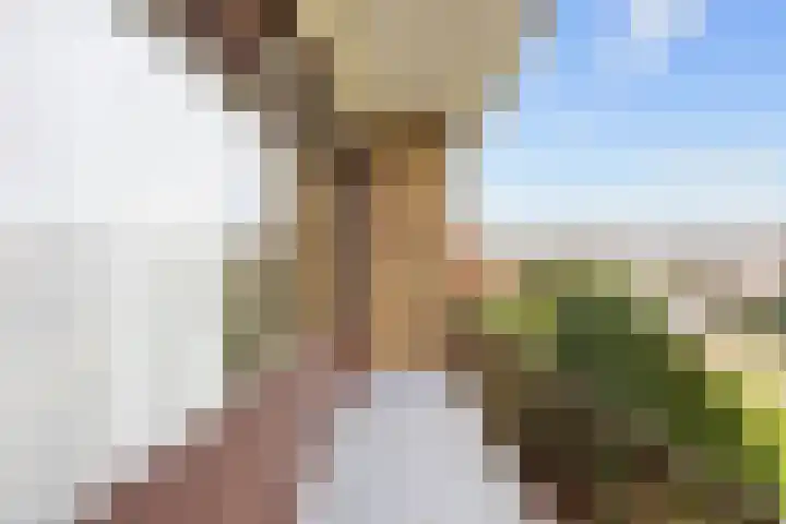 Irenelaan 1 Bedum thumbnail 45