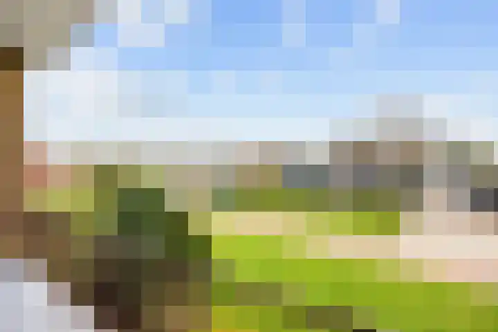 Irenelaan 1 Bedum thumbnail 46