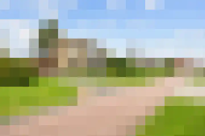 Irenelaan 1 Bedum thumbnail 5
