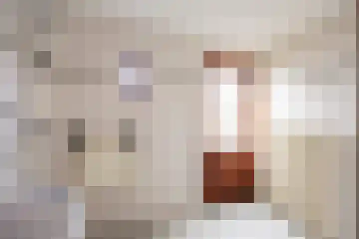 Irenelaan 1 Bedum thumbnail 51