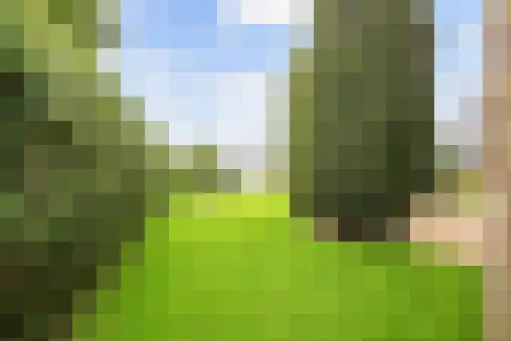 Irenelaan 1 Bedum thumbnail 55