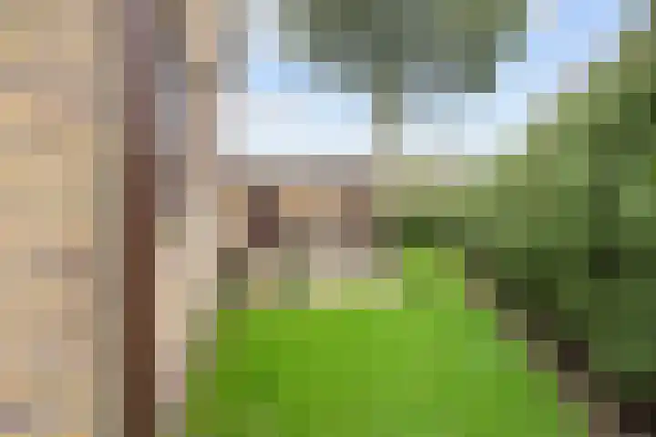 Irenelaan 1 Bedum thumbnail 56