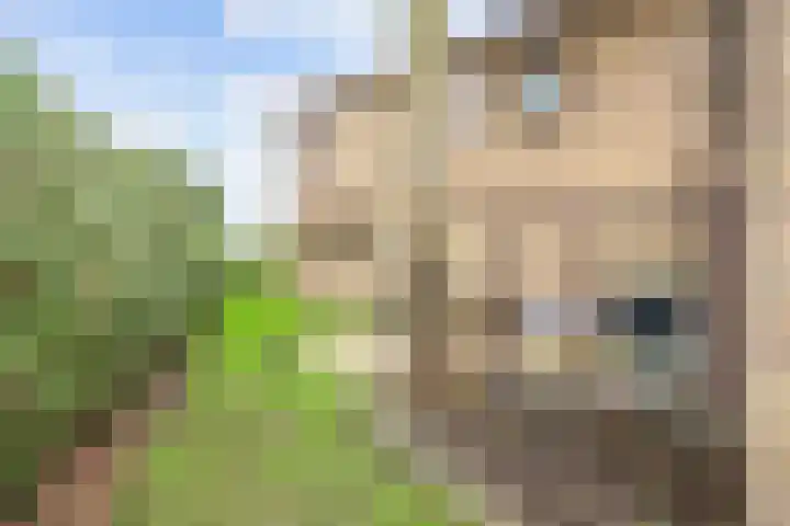 Irenelaan 1 Bedum thumbnail 58