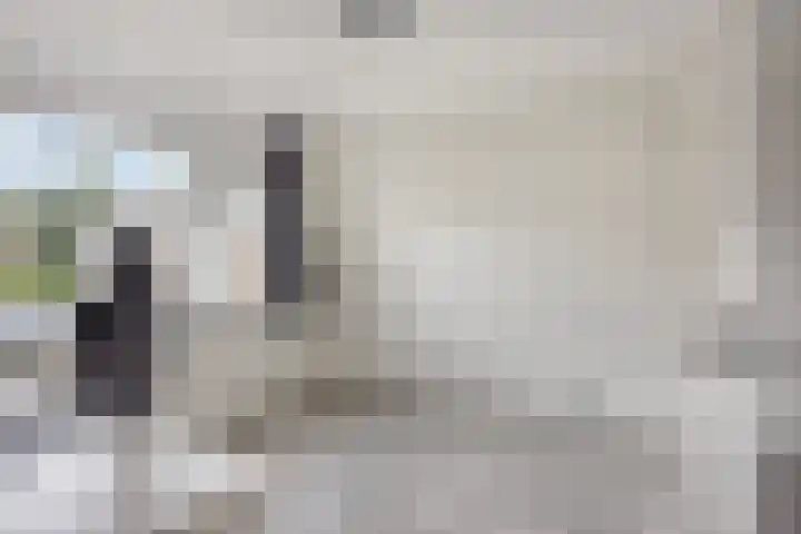 Irenelaan 1 Heerde thumbnail 18