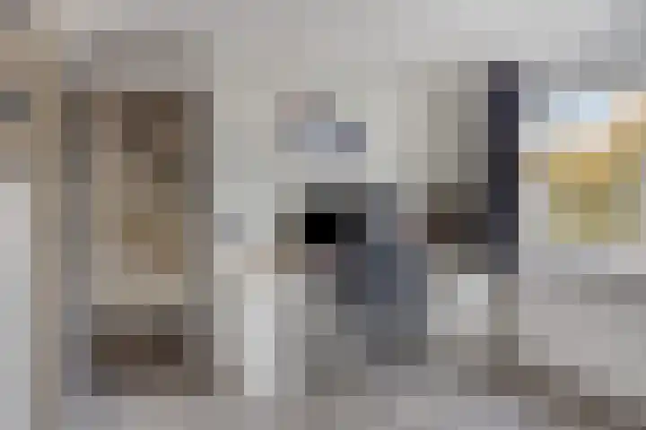 Irenelaan 1 Heerde thumbnail 19