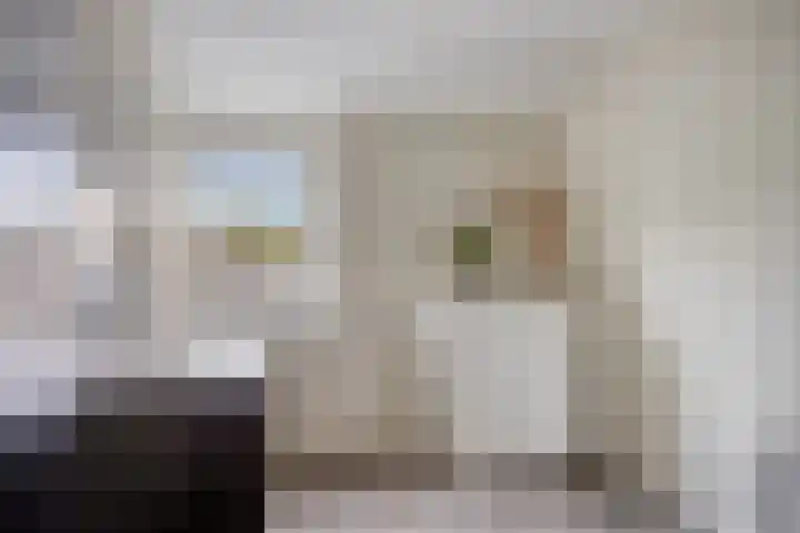Irenelaan 1 Heerde thumbnail 20