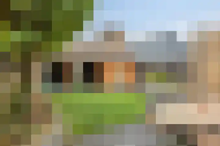 Irenelaan 1 Heerde thumbnail 26