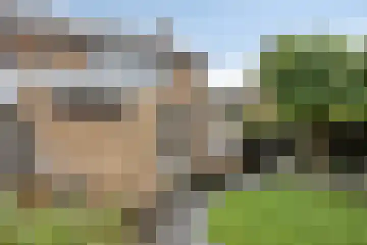 Irenelaan 1 Heerde thumbnail 28