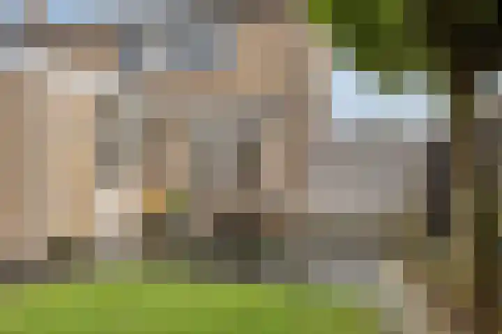 Irenelaan 1 Heerde thumbnail 30
