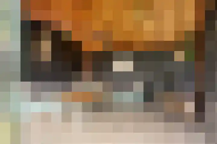 Irenelaan 1 Heerde thumbnail 32
