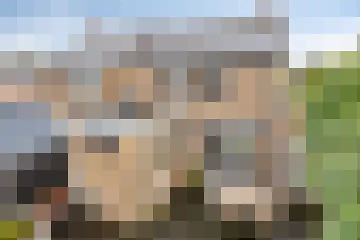 Irenelaan 1 Heerde thumbnail 37