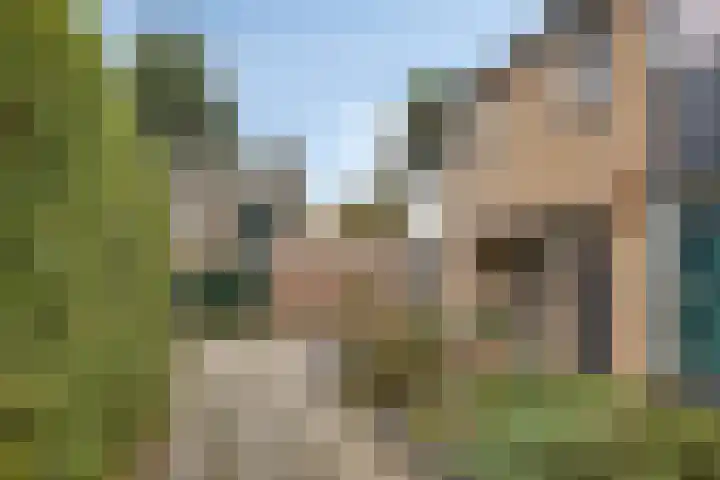 Irenelaan 1 Heerde thumbnail 39