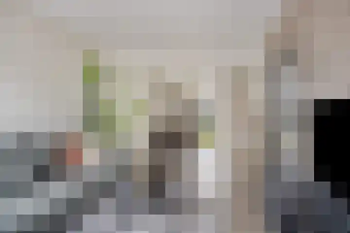 Irenelaan 1 Heerde thumbnail 4