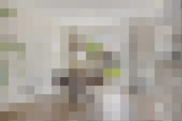 Irenelaan 1 Heerde thumbnail 5