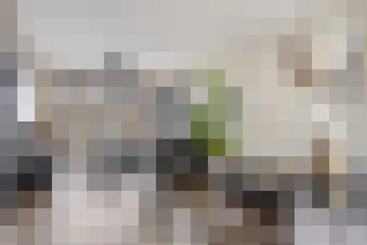 Irenelaan 1 Heerde thumbnail 6