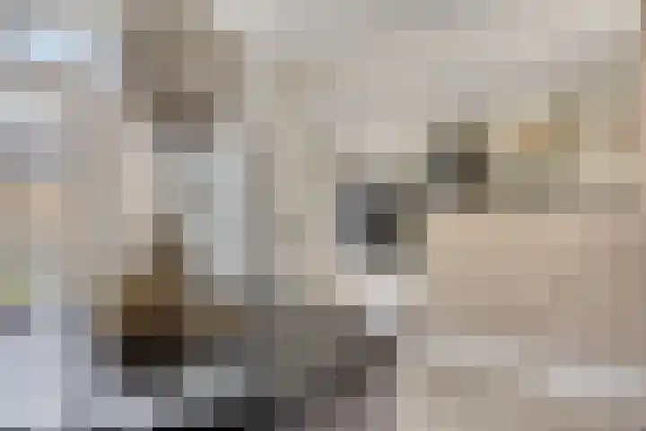 Irenelaan 1 Heerde thumbnail 7