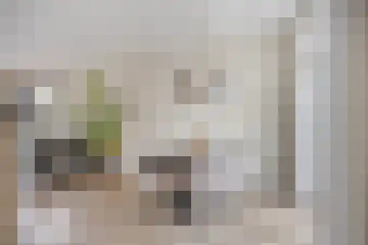 Irenelaan 1 Heerde thumbnail 8