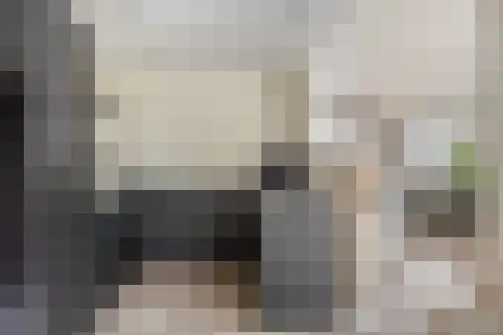 Irenelaan 1 Heerde thumbnail 9