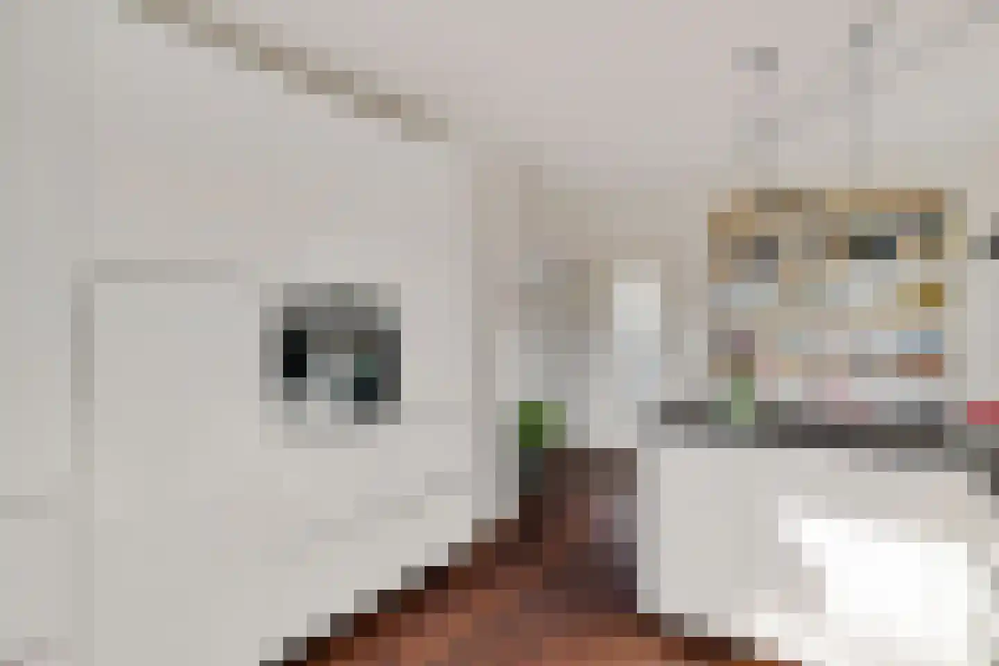 Irenelaan 1 Oosterhesselen thumbnail 12