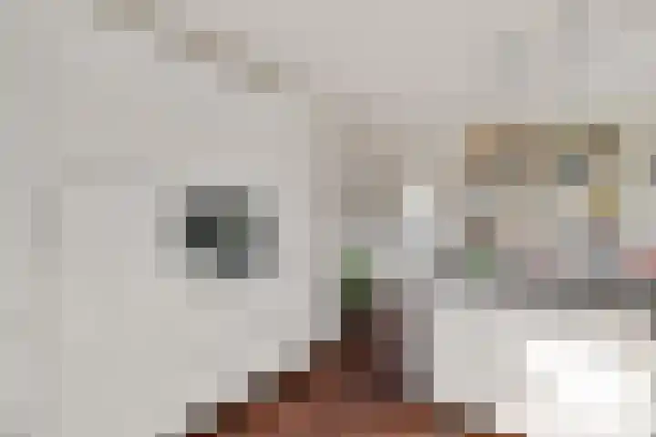 Irenelaan 1 Oosterhesselen thumbnail 14