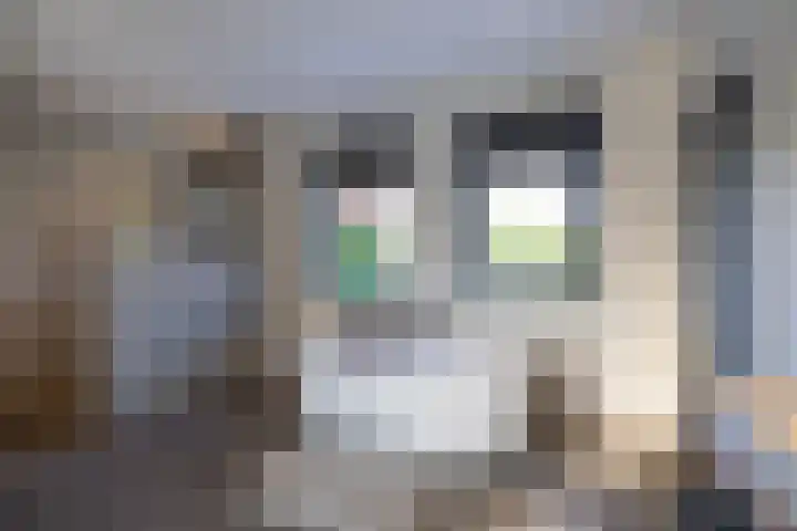Irenelaan 1 Oosterhesselen thumbnail 17
