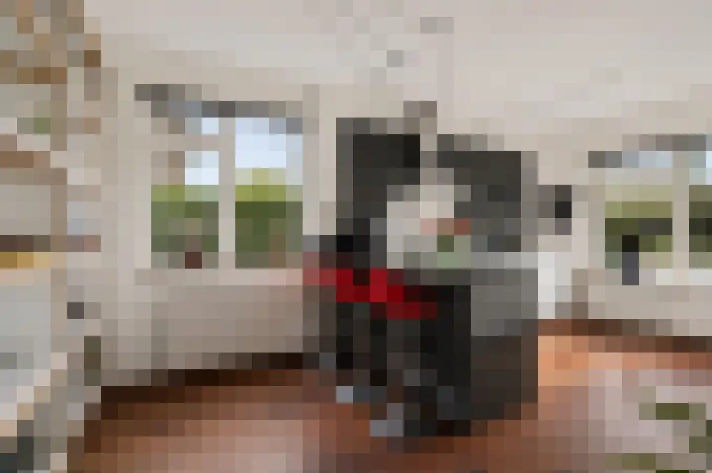 Irenelaan 1 Oosterhesselen thumbnail 18