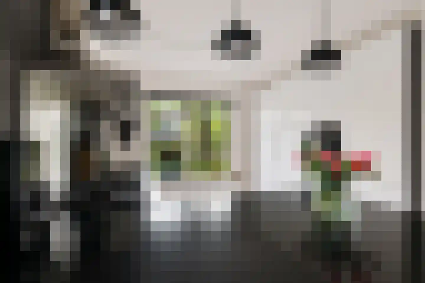 Irenelaan 1 Oosterhesselen thumbnail 20