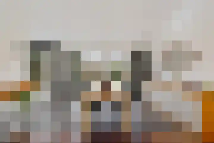 Irenelaan 1 Oosterhesselen thumbnail 20