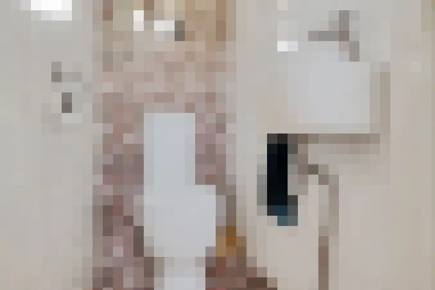 Irenelaan 1 Oosterhesselen thumbnail 27