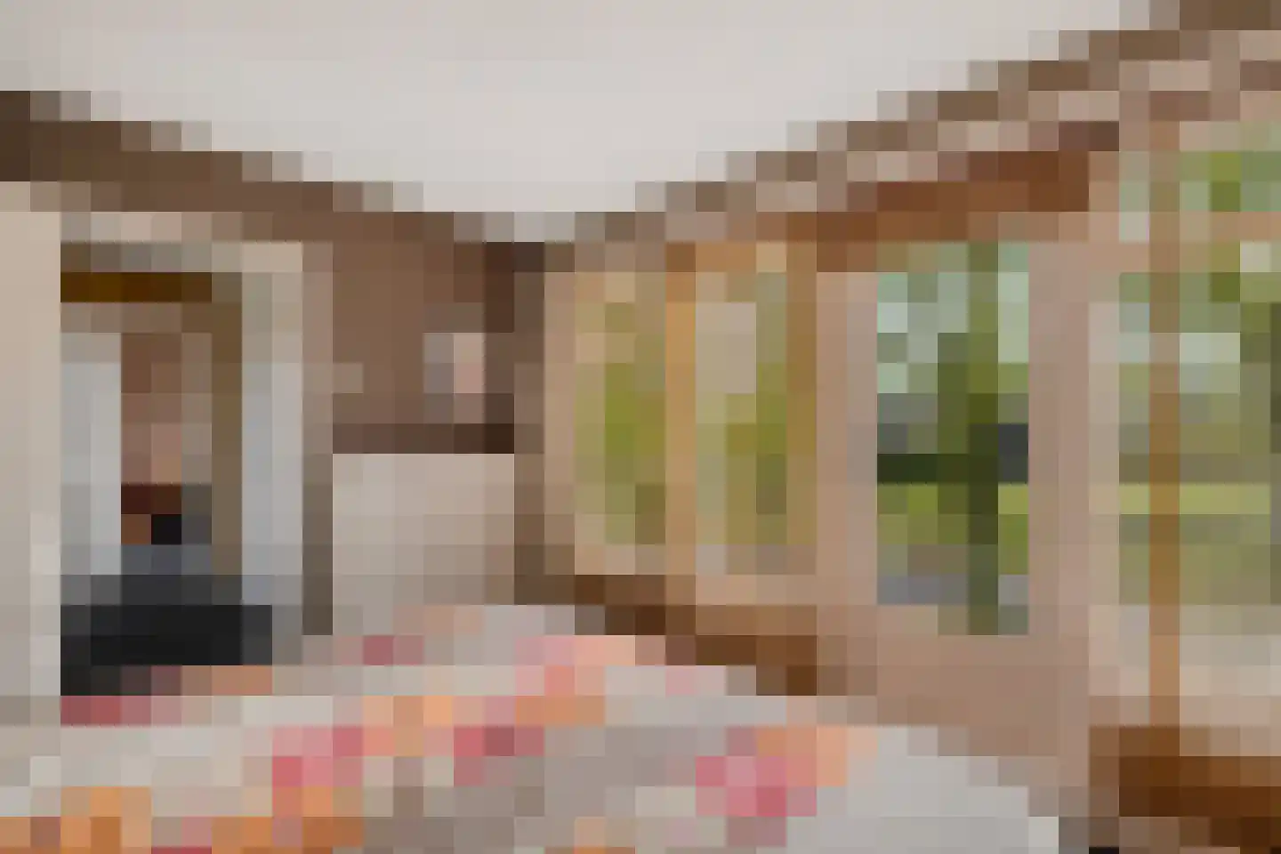 Irenelaan 1 Oosterhesselen thumbnail 33