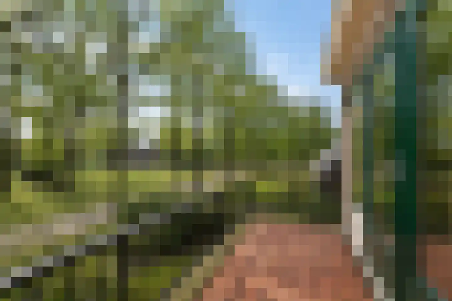 Irenelaan 1 Oosterhesselen thumbnail 35