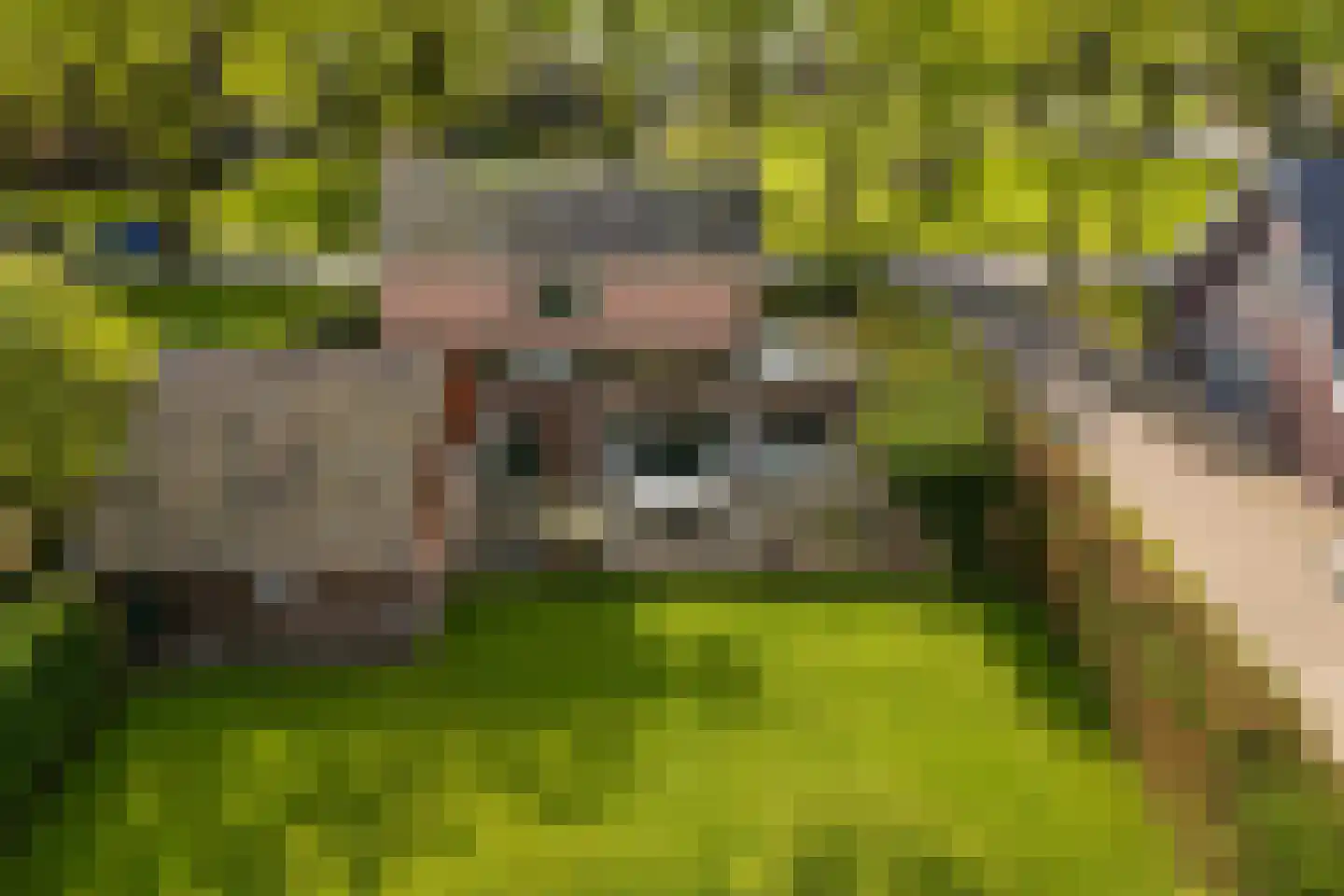 Irenelaan 1 Oosterhesselen thumbnail 4