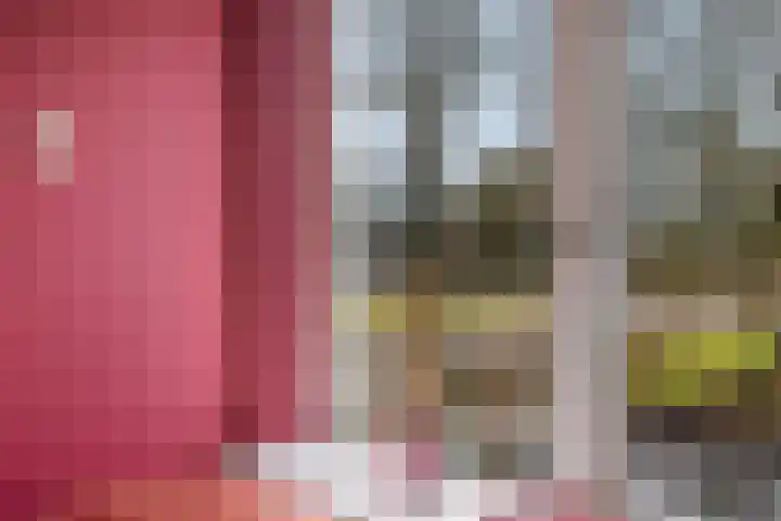 Irenelaan 1 Oosterhesselen thumbnail 45