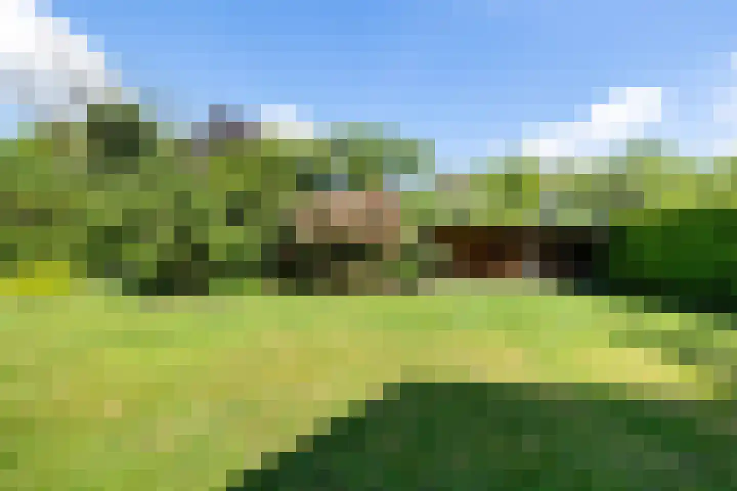 Irenelaan 1 Oosterhesselen thumbnail 48