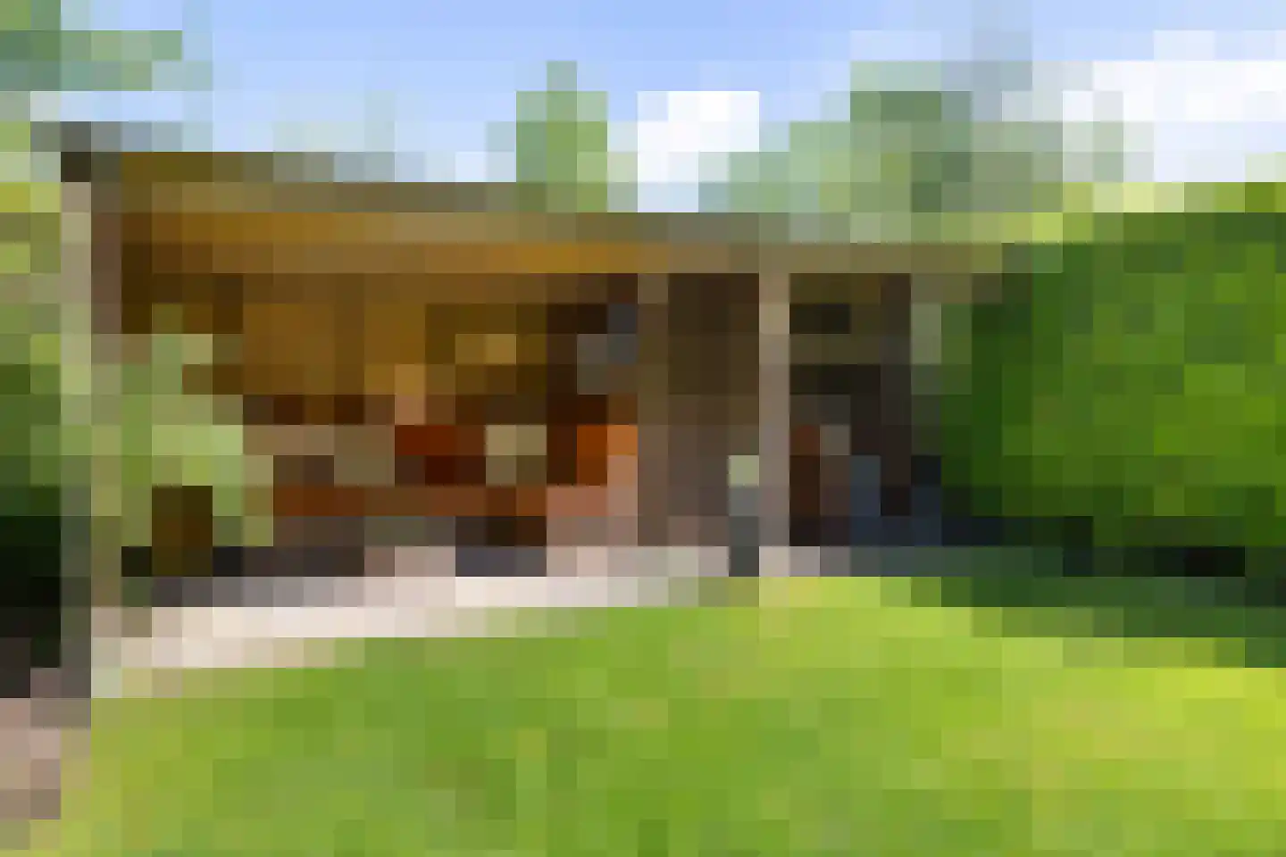 Irenelaan 1 Oosterhesselen thumbnail 49