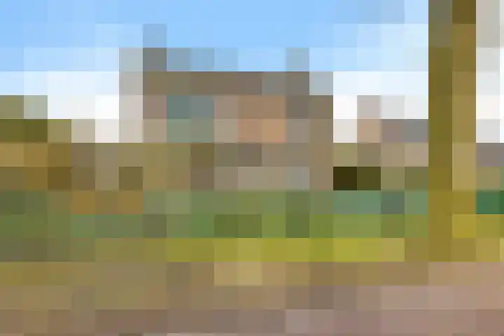 Irenelaan 1 Oosterhesselen thumbnail 5